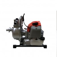 Worth Buying Cheap diesel engine micro water pump